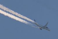 N13013